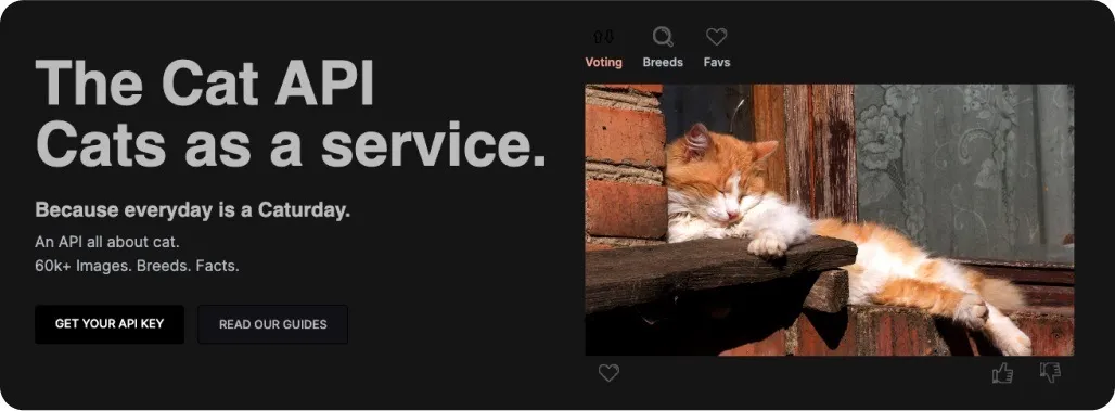 Cat API website